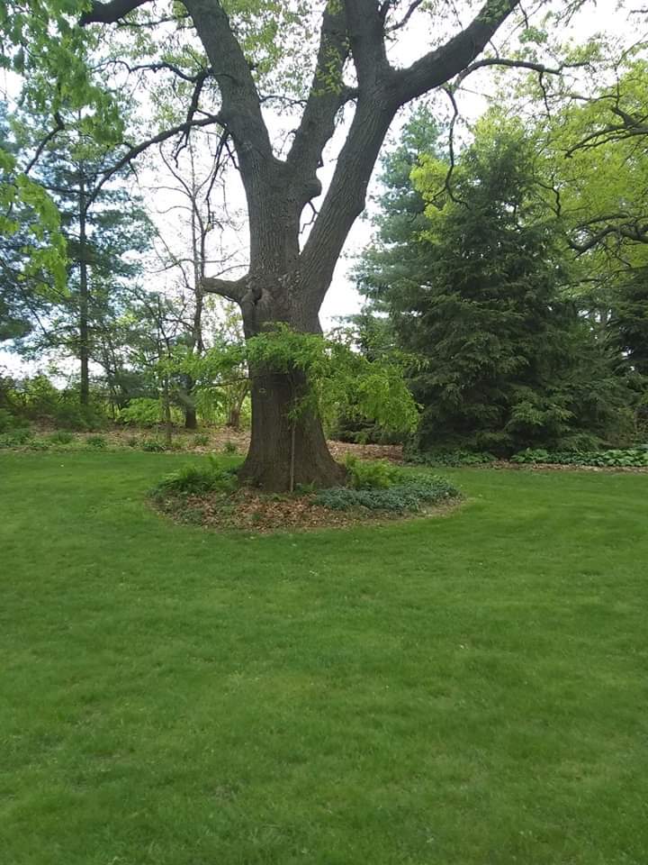 Photo by Ron Burt DJ